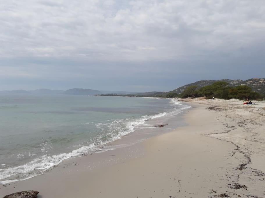 Studio 4 Pers Coeur Du Lavandou 5Mn A Pied Des Plages Le Lavandou Ngoại thất bức ảnh