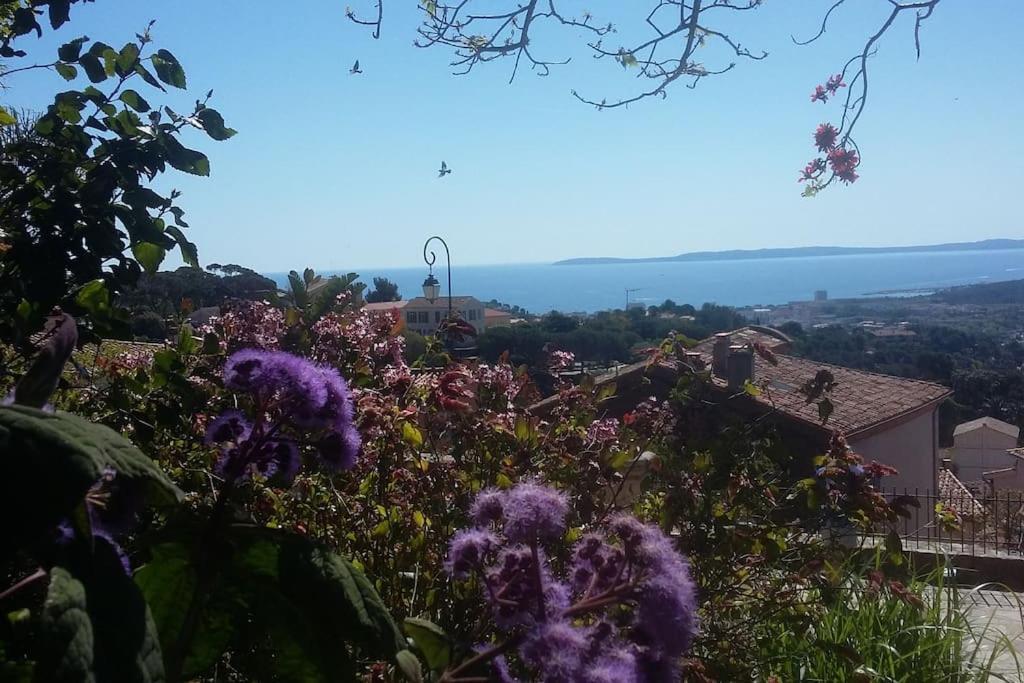 Studio 4 Pers Coeur Du Lavandou 5Mn A Pied Des Plages Le Lavandou Ngoại thất bức ảnh